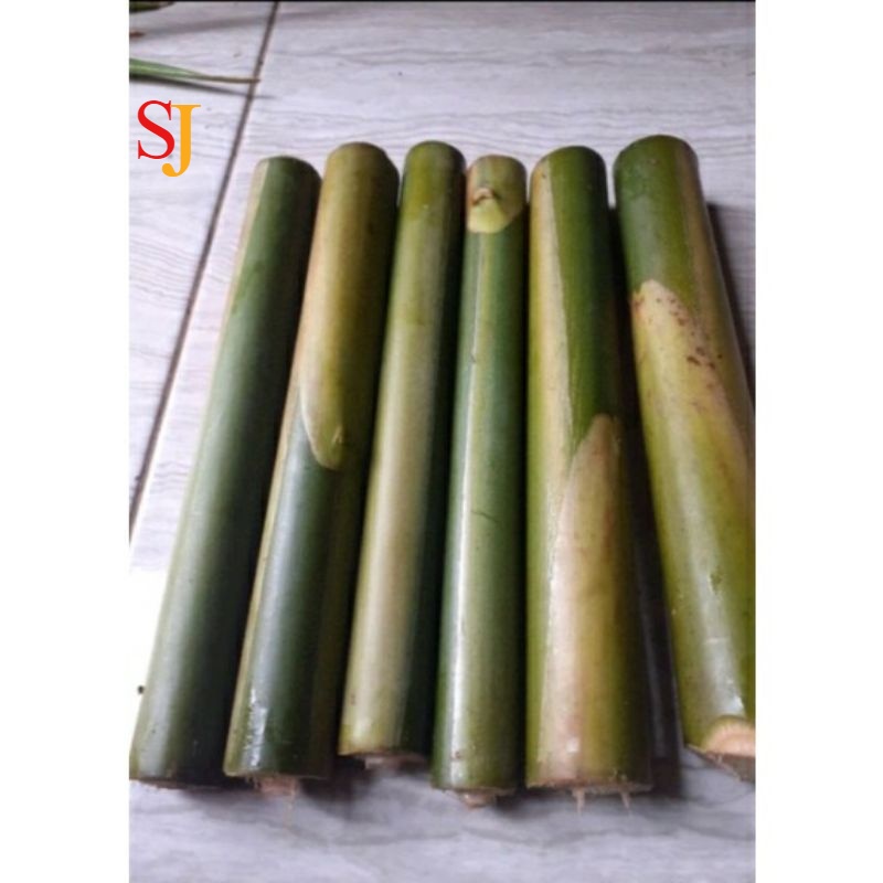 

Batang Kecombrang batang laka batang honje sayuran segar bumbu masak 1kg