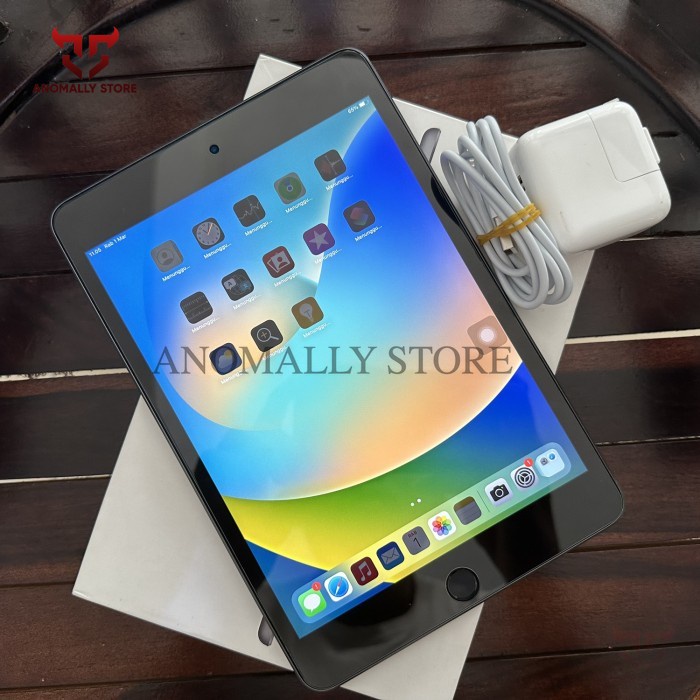 iPad Mini 5 Second - 64gb wifionly