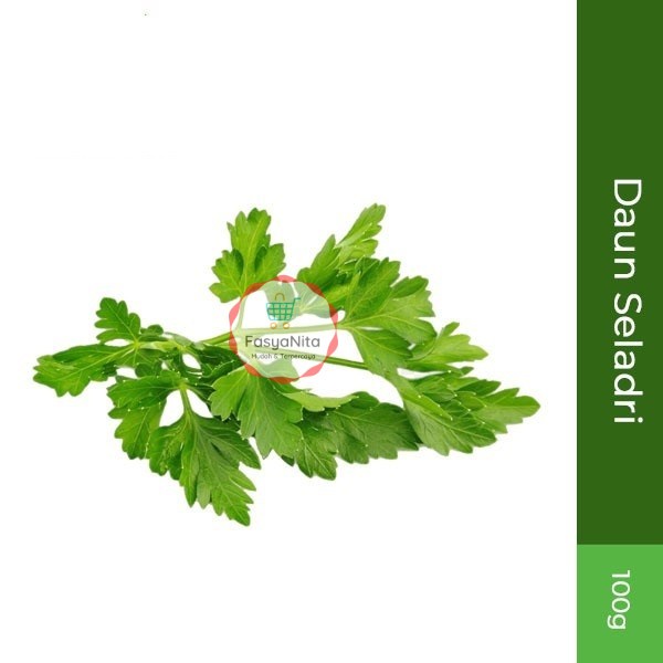 

Daun Seladri 100gr - FasyAnita Mart Denpasar
