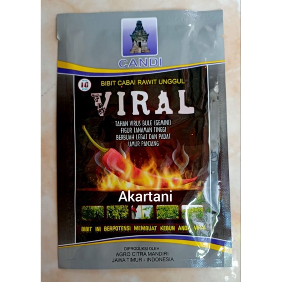 benih cabe rawit VIRAL isi 10g