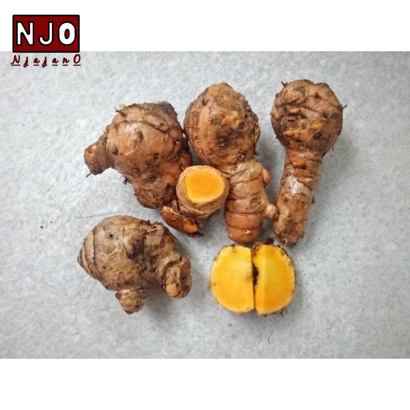 

Njajano Temulawak Fresh 1kg | herbal jsr | curcuma | temulawak antioksidan