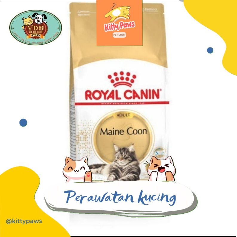 Perawatan kucing Royal Canin Adult Maincoon 400 gr