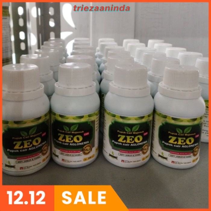 pupuk agar daun aglonema berwarna merah