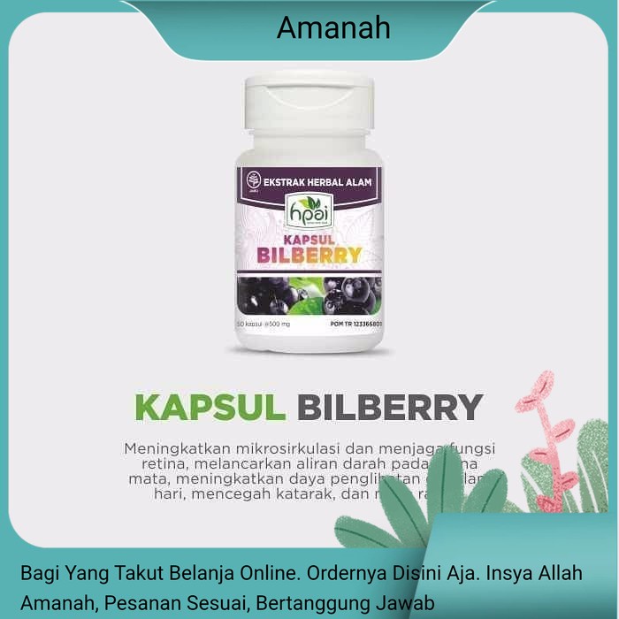HNI HPAI BILBERRY