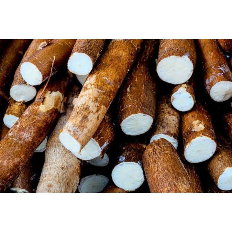 

Ketela Singkong Umbi Ketela 1kg
