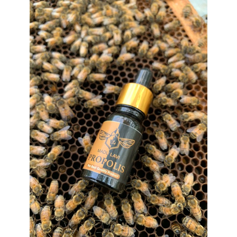 

Madu Lavi Propolis 10ml Murni propolis