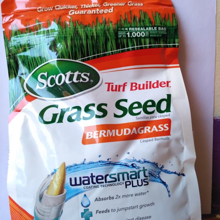 benih bibit rumput jepang // Bibit Rumput Jepang Hidup