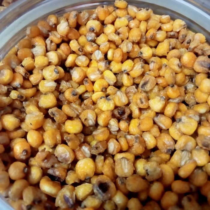 

[SUKSES] jagung marning gurih asin 1 kg 1 kg