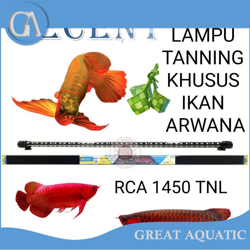 LAMPU TANNING AQUARIUM RCA 1450 TNL RECENT