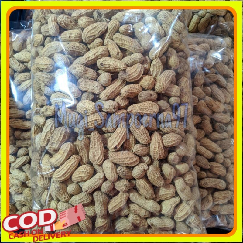 

KACANG KULIT SANGRAI 1KG/KACANG BAKAR 1KG/ KACANG RENYAH/ KACANG MURAH/KACANG KILOAN/AGEN SNACK