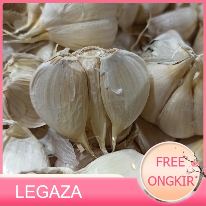 

bang putih kating bersih 1kg - Legaza