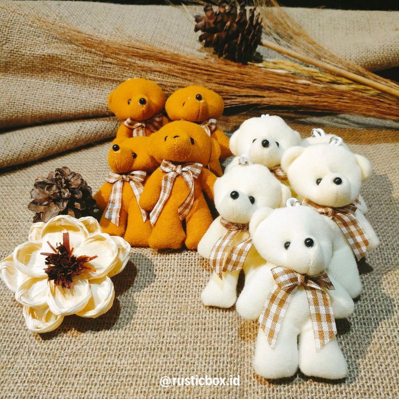 Boneka Mini / Boneka Beruang Mini / Boneka Bear Mini / Boneka Kecil / Boneka Bear Kecil Medan Hamper