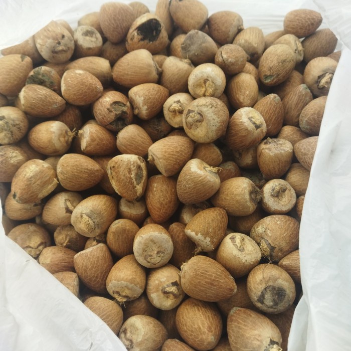 pinang kering utuh bulat 500gram