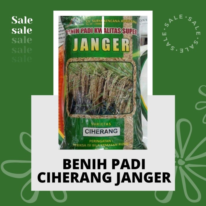 Ready Benih Padi Unggul Ciherang Janger