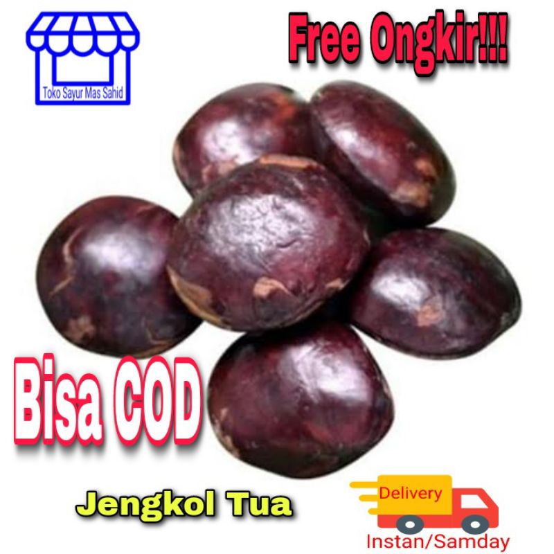 

INSTAN Jengkol Tua Pilihan 1 kg [ SUPER ]