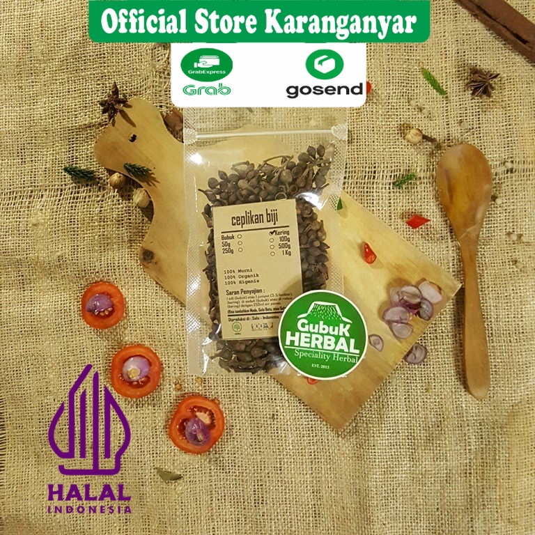 

BUAH CEPLIKAN KERING 100 GRAM / Ruellia Tuberosa / JAMINAN MURNI / DIPETIK DARI TUMBUHAN SEGAR & DIKERINGKAN DI TEMPAT BERSIH