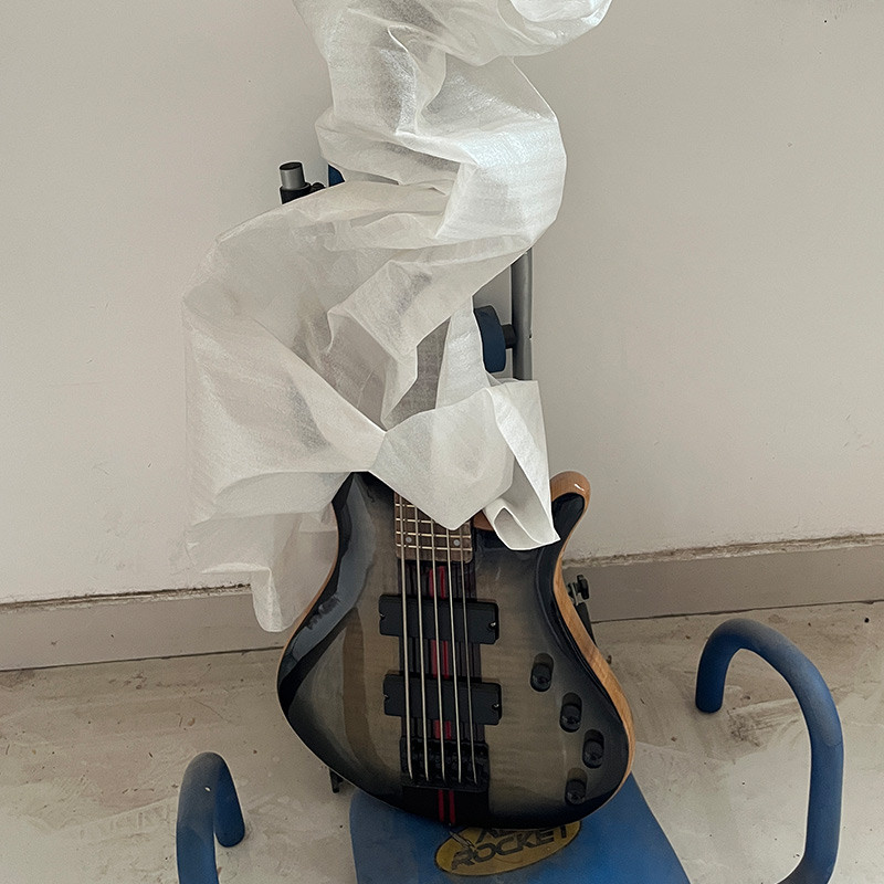 electric bass 5 strings mayones in stock