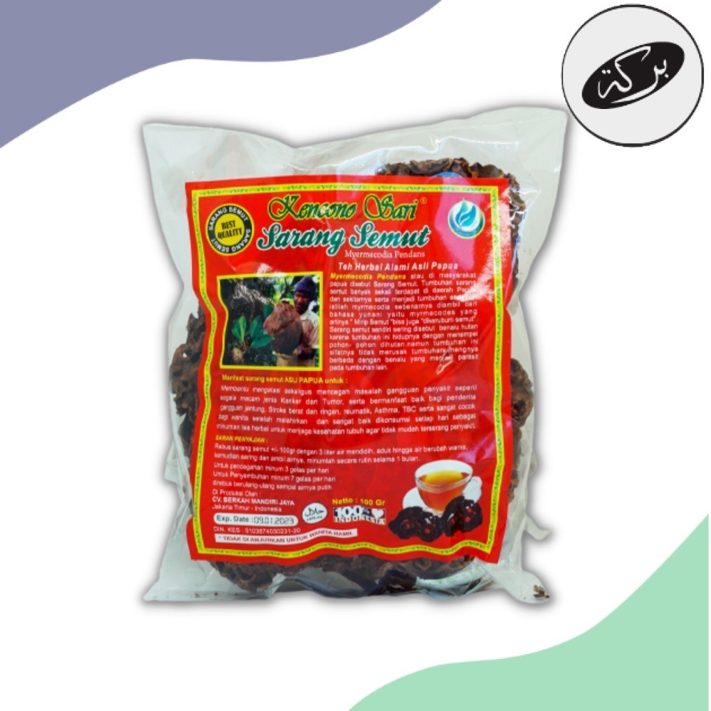 

HDN Sarang Semut Herbal Curah Kencono Sari Asli Original Papua