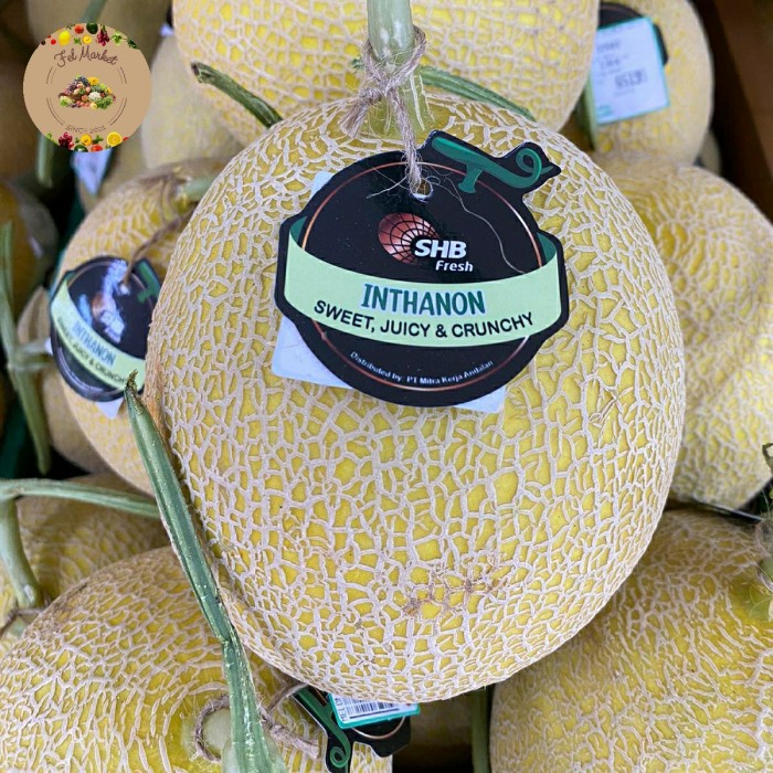 

Buah Melon Inthanon Shb Manis, Juicy, Crunchy | Melon Inthanon | Pcs