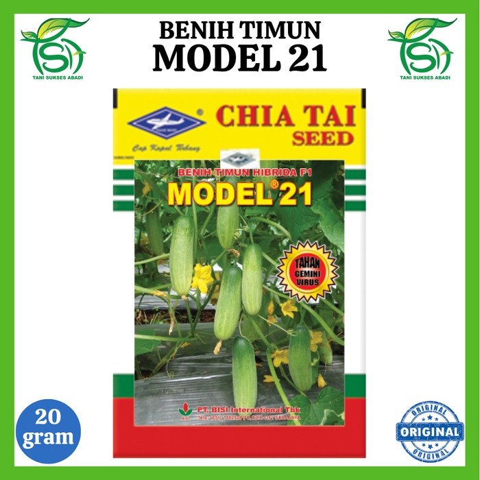 Benih Timun MODEL 21 (20 Gram) - Bibit Bisi F1 Lalap Cap Kapal Terbang