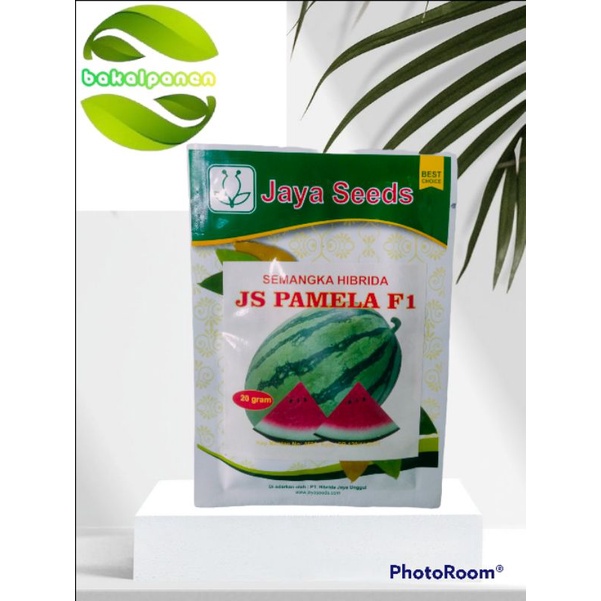 Benih Bibit Semangka JS Pamela 20gr