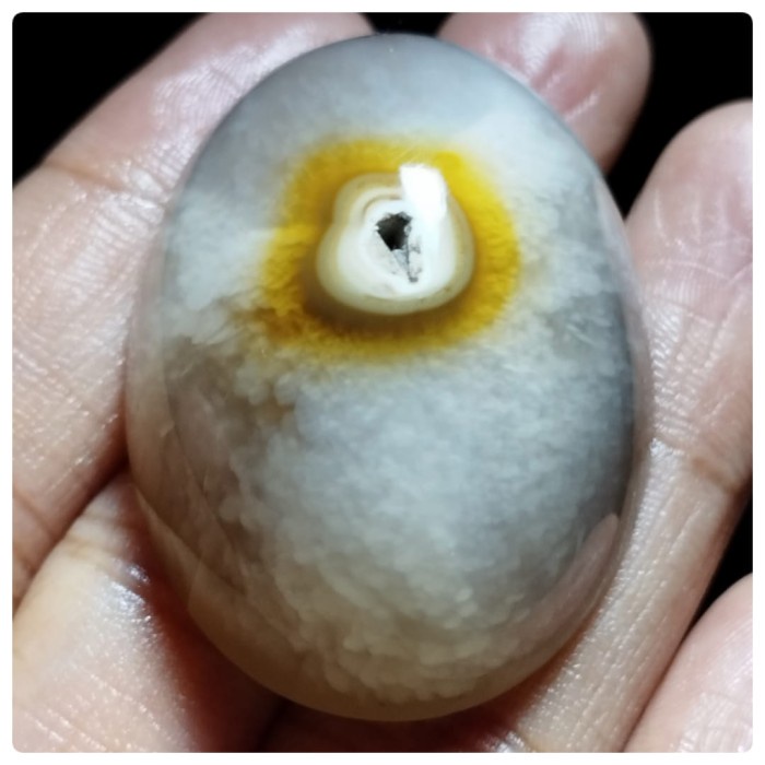 Natural Batu Akik Pandan Kapas Semu Nanas Sutra Merah Lumut Oli Antik8