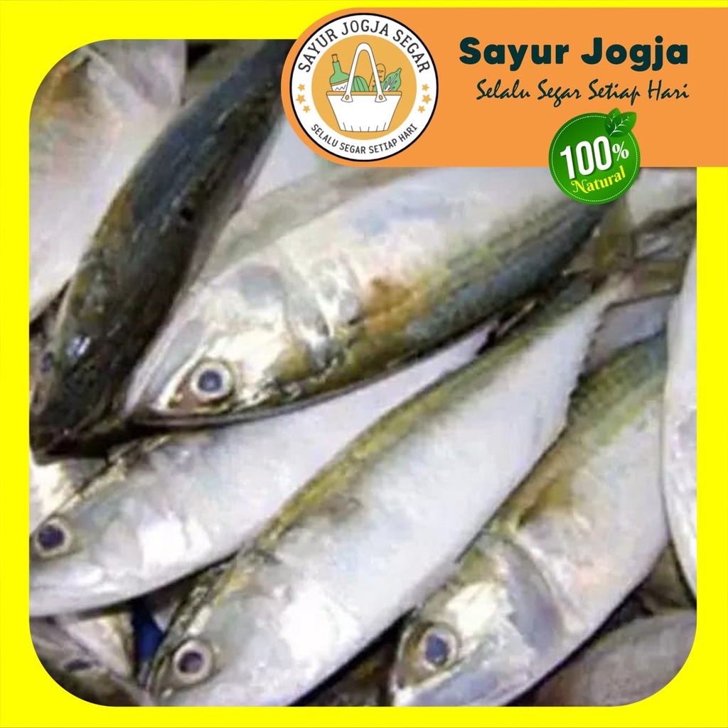 

Ikan Banyar per 500 gr- Sayur Jogja