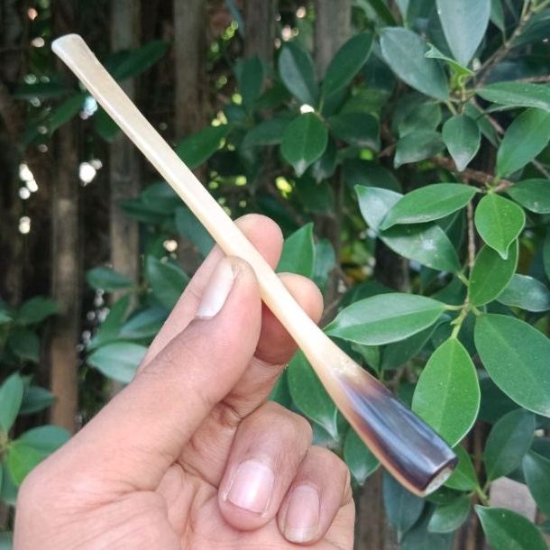 Sovenir Once pipa tulang kalong 15cm by TUTUL Handicraft