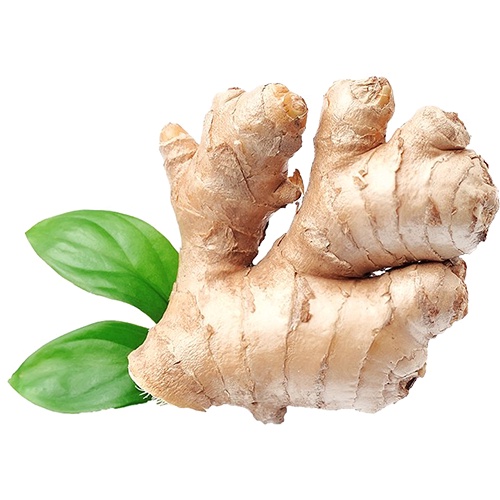 

JAHE 100 gr | WHITE GINGER | PREMIUM QUALITY | JAHE PUTIH