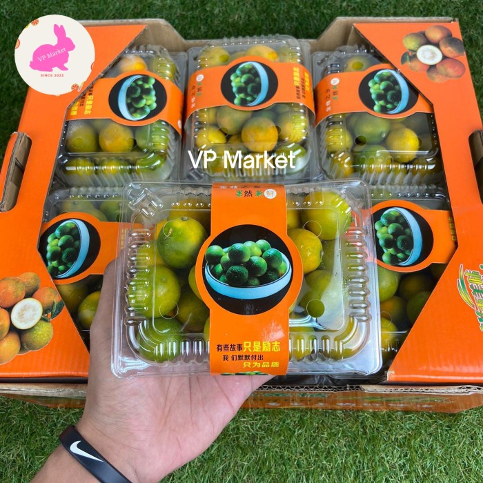 Jeruk Kimkit Hijau Manis Fresh Import 12 Pack | Dus