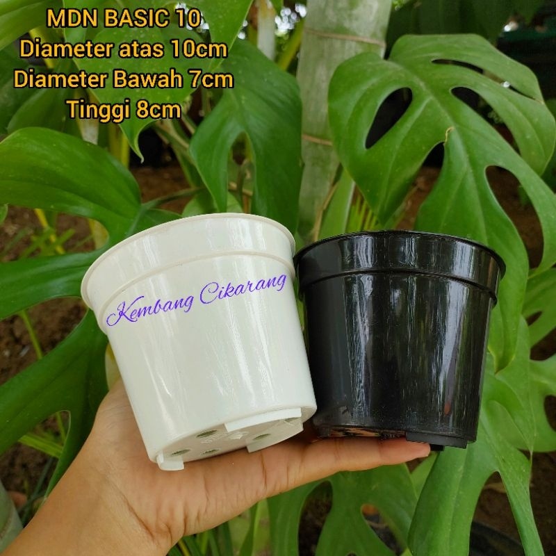(1pc) MDN BASIC 10 (10cm) : pot bunga plastik basic biasa pot kecil mini murah grosir