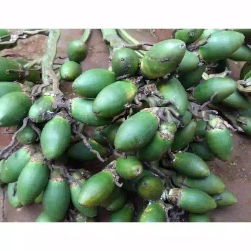 

BUAH PINANG / JAMBE MUDA/500 GRM COD #339682