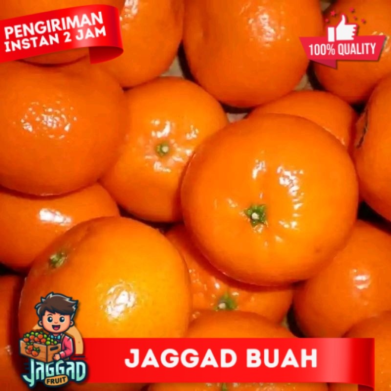 

Jeruk Murcot/500gr/1kg JAGGAD FRUIT