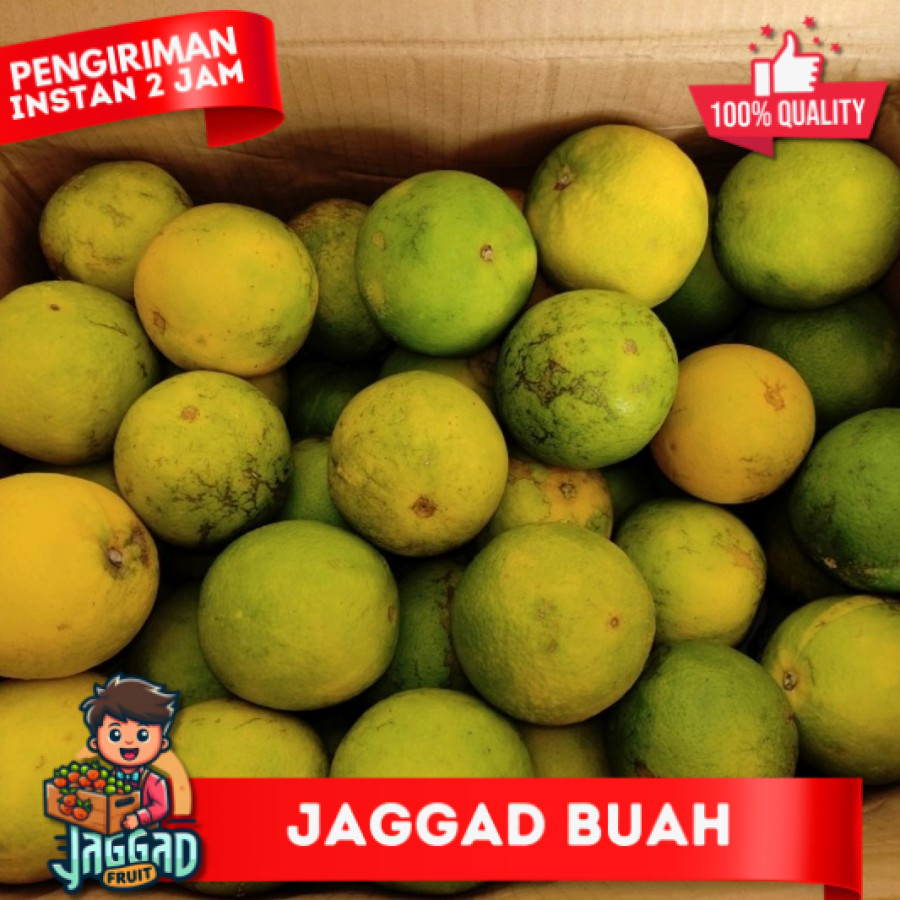 

Jeruk Baby fresh manis per kg JAGGAD FRUIT