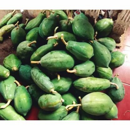 pepaya muda .gandul muda segar 1kg - pepaya biasa