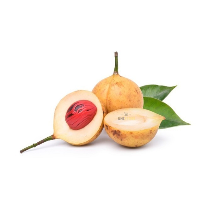 

Buah Pala Tua Segar 1 Kg Untuk bahan Manisan Dan Bumbu Belanja disini