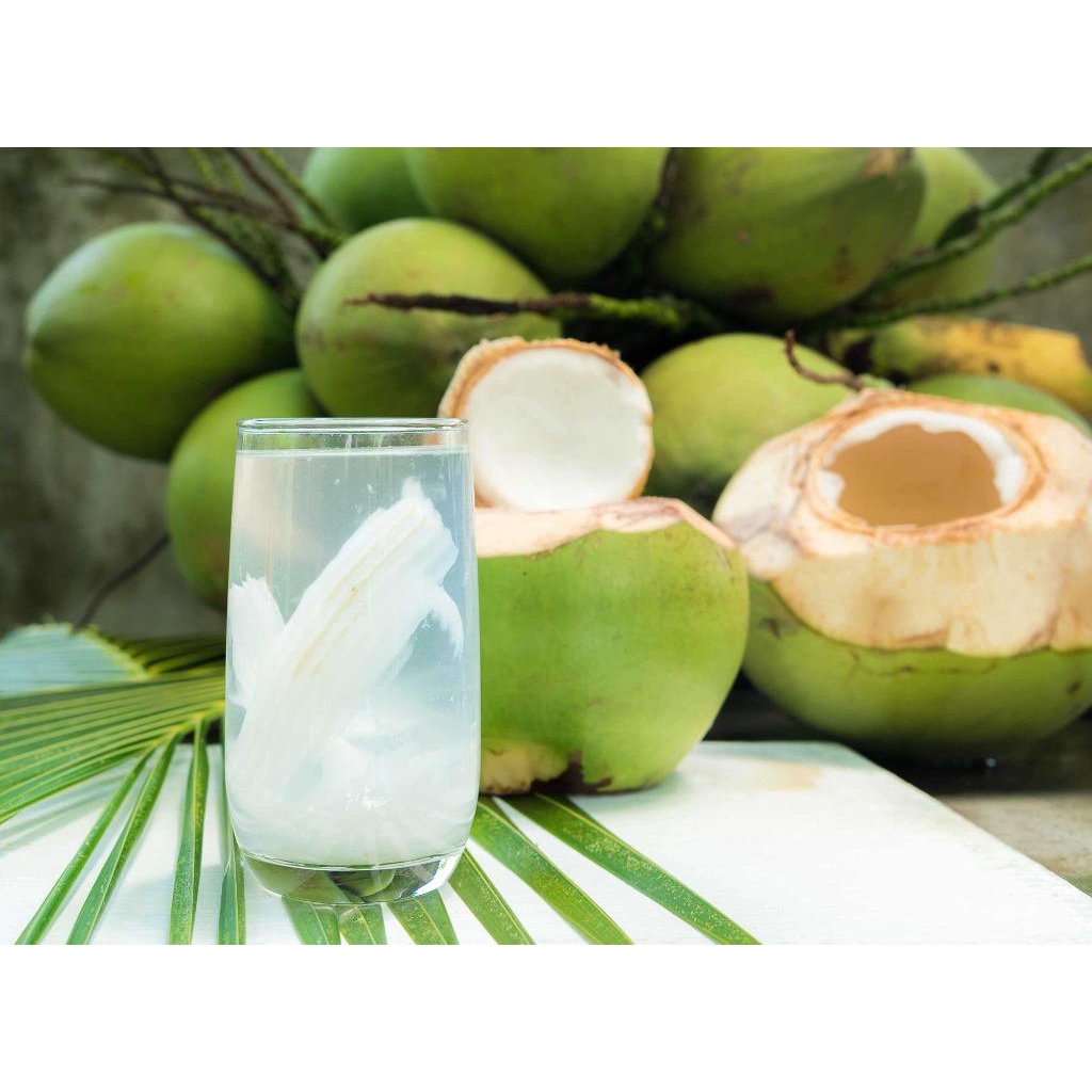 

ES DEGAN ES KELAPA MUDA SIAP MINUM