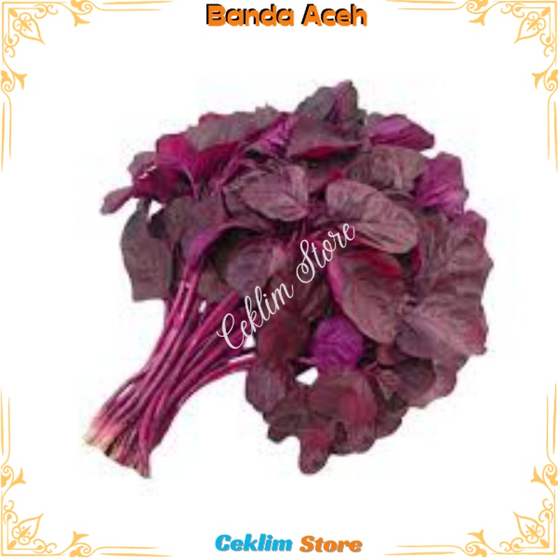 

bayam merah 1 ikat Fresh