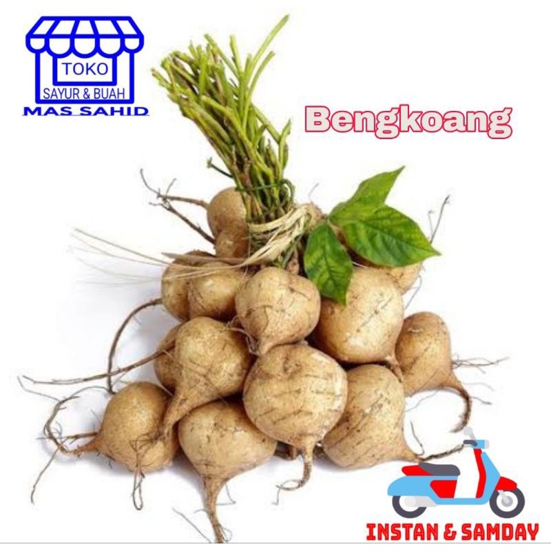 

INSTAN Bengkoang 1 Kg