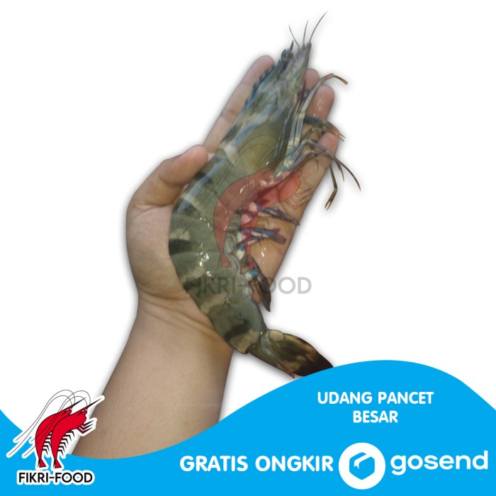 

Udang Pancet / Windu / Tiger Besar Segar Fresh 500gr