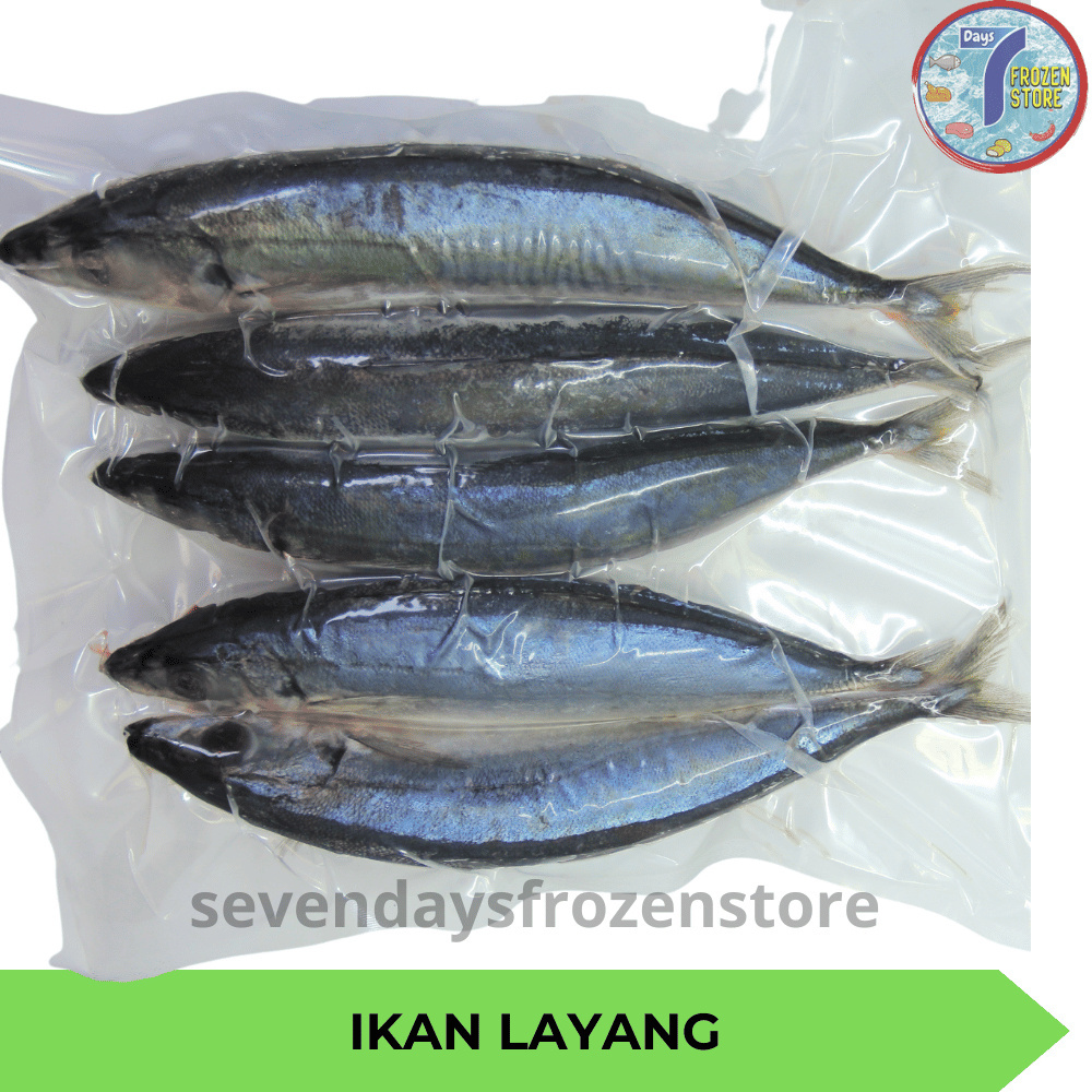 

RB Ikan Layang Beku Frozen