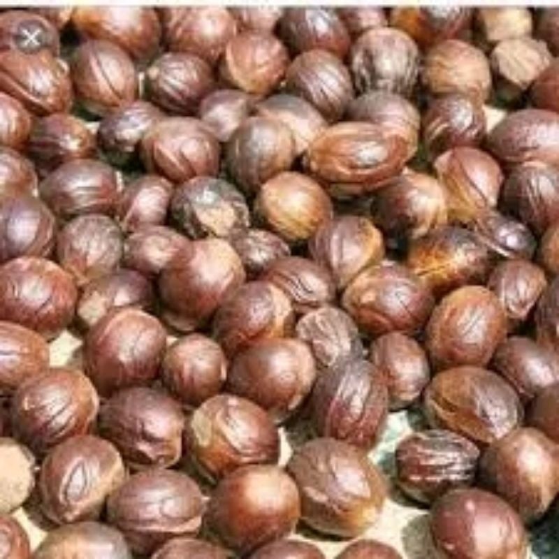 

BIJI PALA SEGAR FRES 1 kg dan bisacod#339682