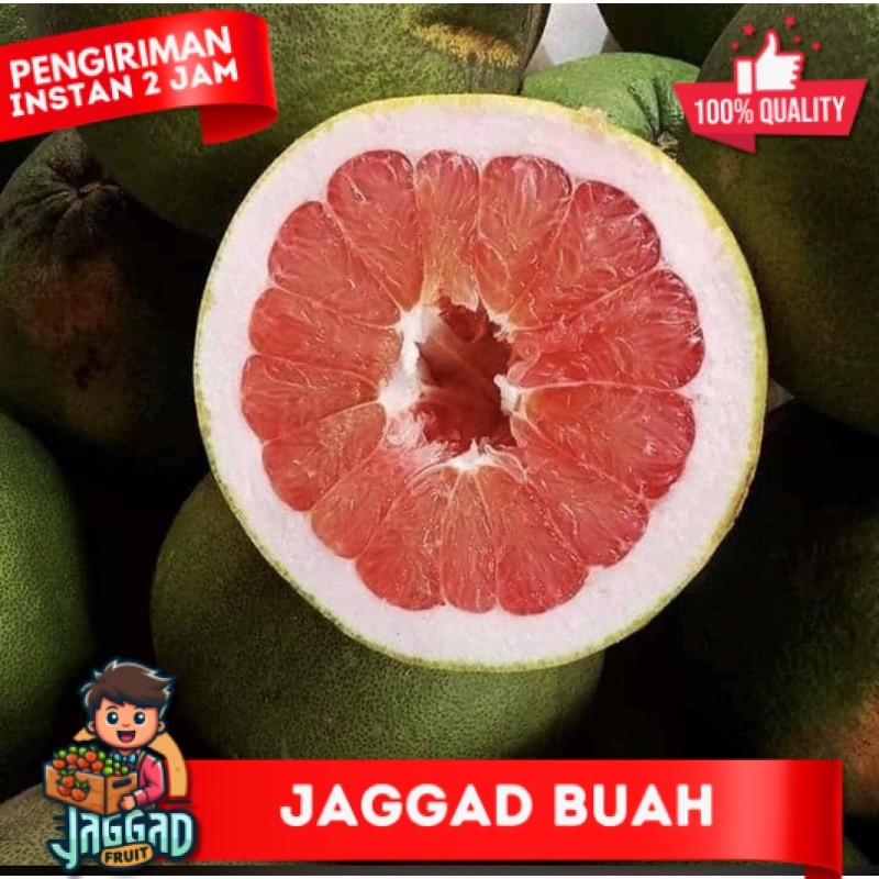 

jeruk pamelo madu 8-9 ons JAGGAD FRUIT