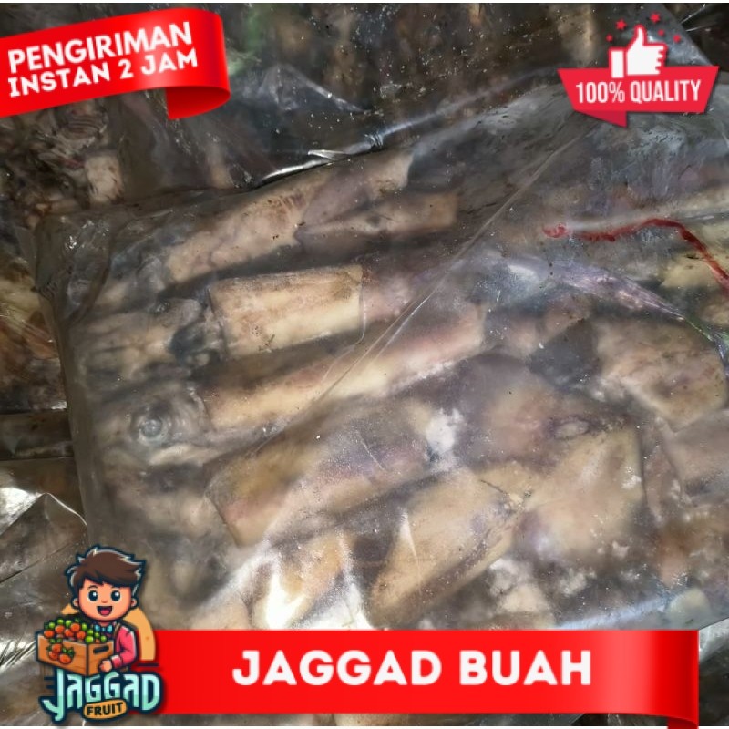 

Cumi Kondom 1kg JAGGA FRUIT