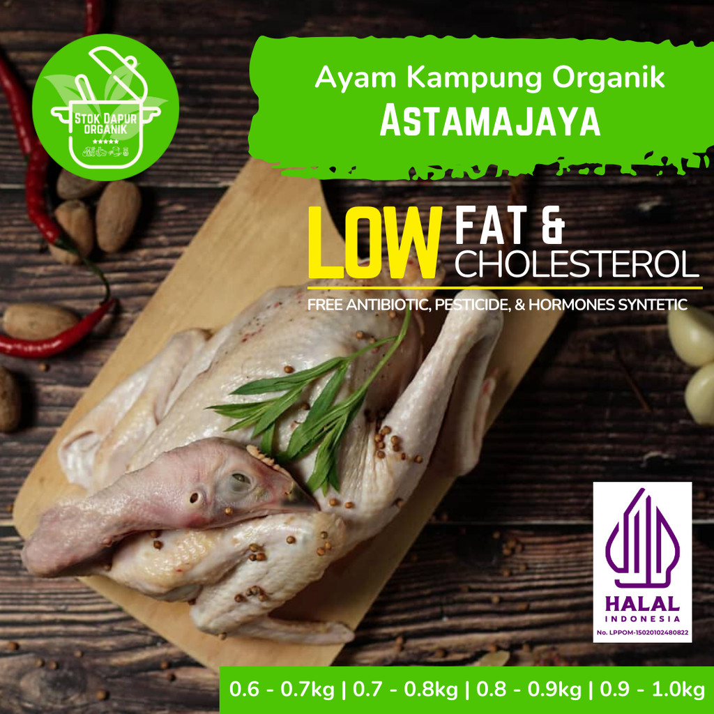 

Astamajaya Ayam Kampung Organik Segar Beku/Fresh Frozen