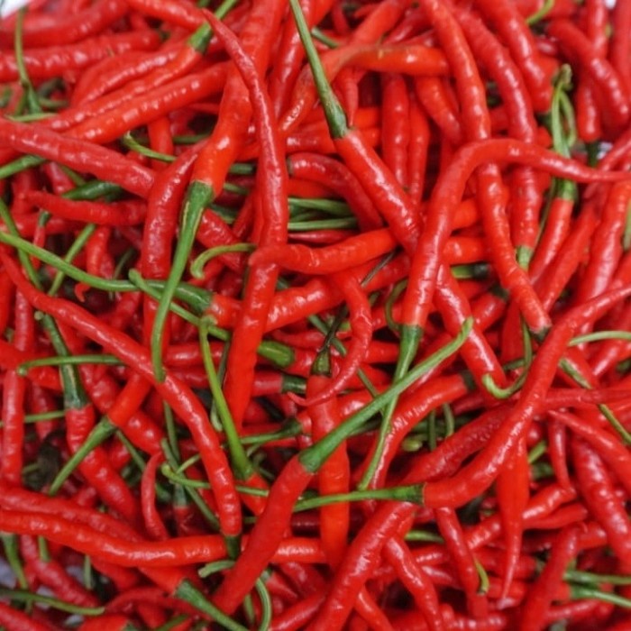 

Cabe Keriting Merah - 1/4 kg