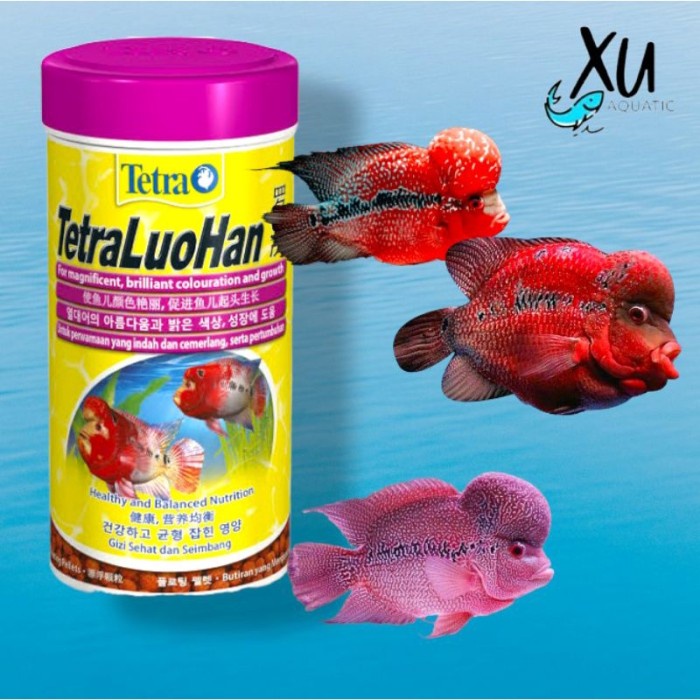 TETRA LOUHAN 86 GRAM 250 ML / TETRA LUOHAN PAKAN PELET IKAN LOUHAN