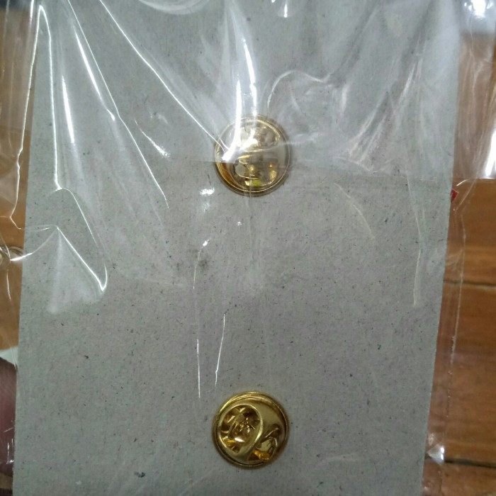 pin kewenangan satpam security besar