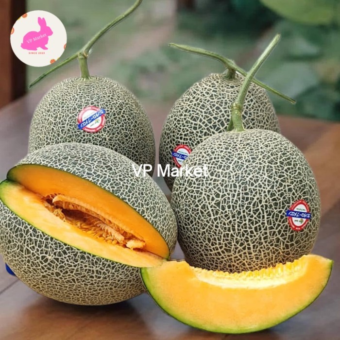 Buah Melon Jepang Cantaloupe Japan -+ 1.5kg| Melon Bibit Jepang | Pcs