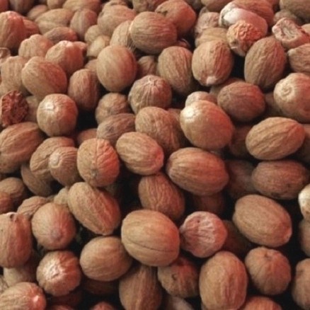 

Biji Pala - 50 Gram
